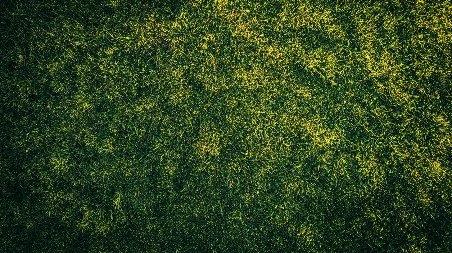 lawn care bradenton florida